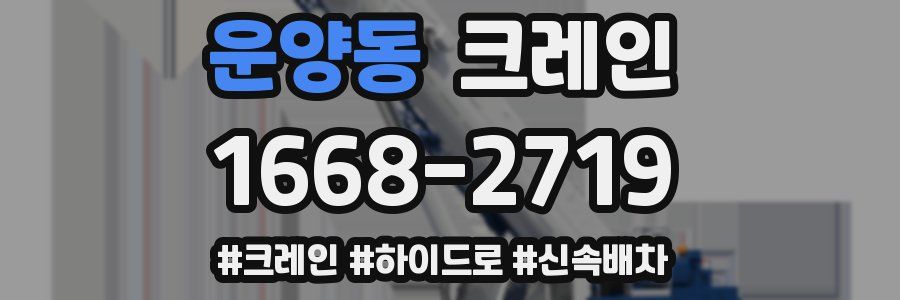 운양동 크레인 작업