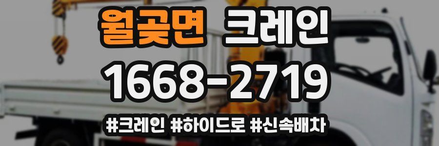 월곶면 크레인 작업