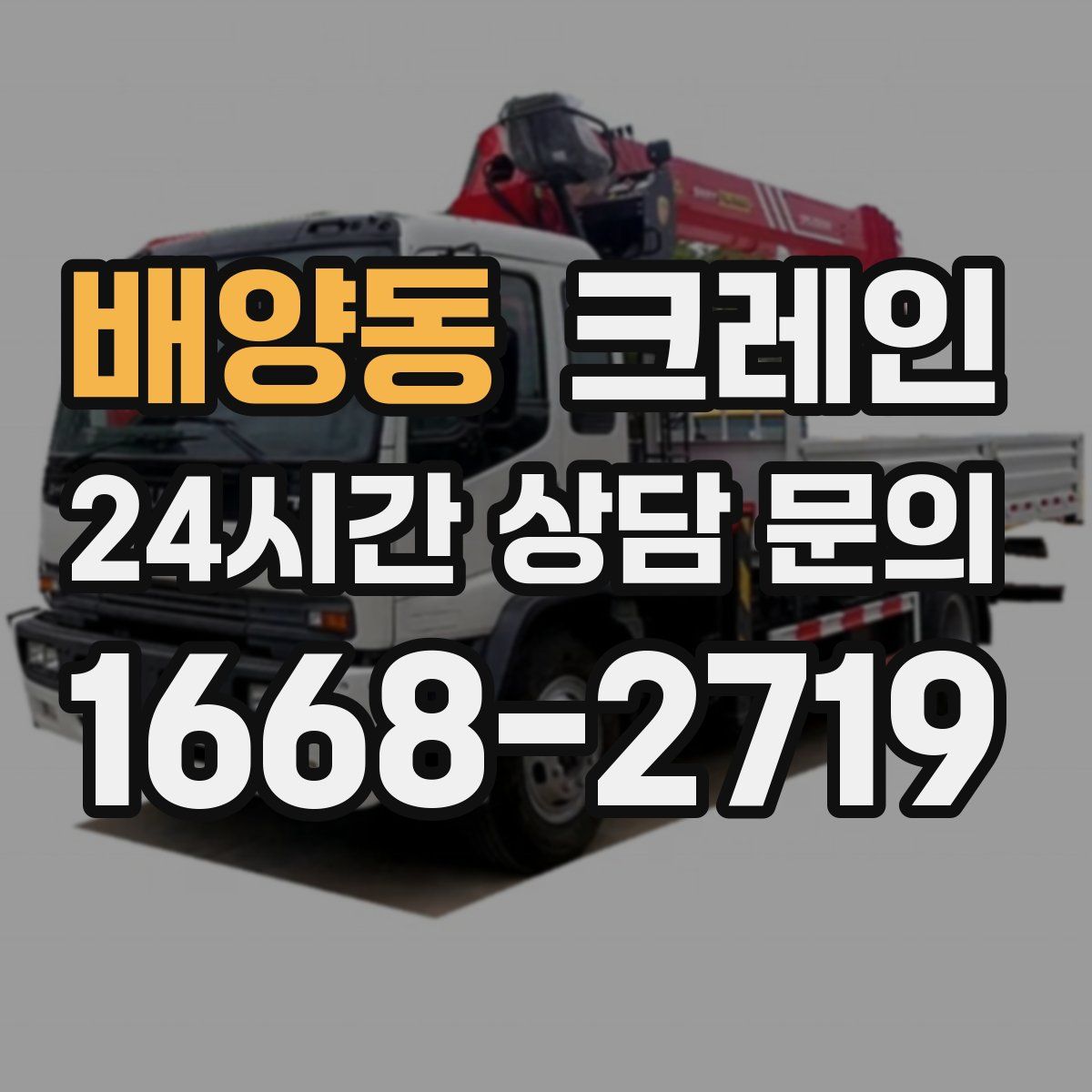 배양동 카고 크레인