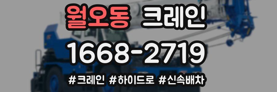 월오동 크레인 작업