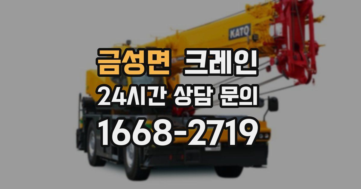 금성면 크레인