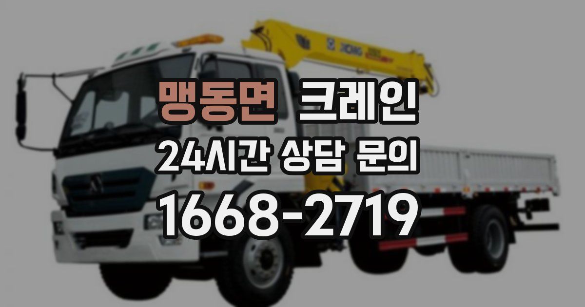 맹동면 크레인