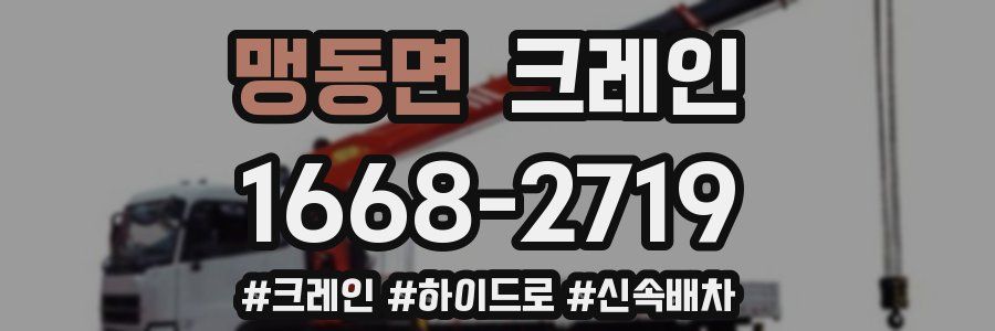 맹동면 크레인 작업