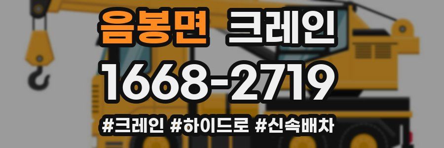 음봉면 크레인 작업