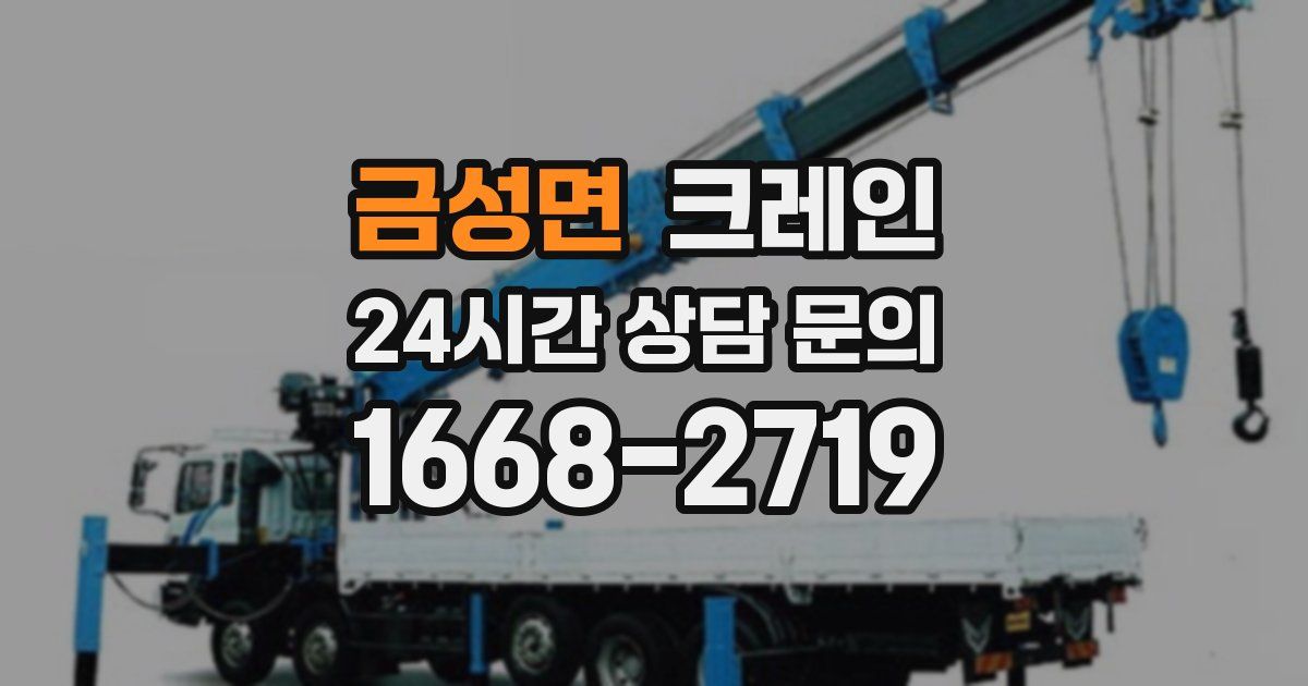 금성면 크레인