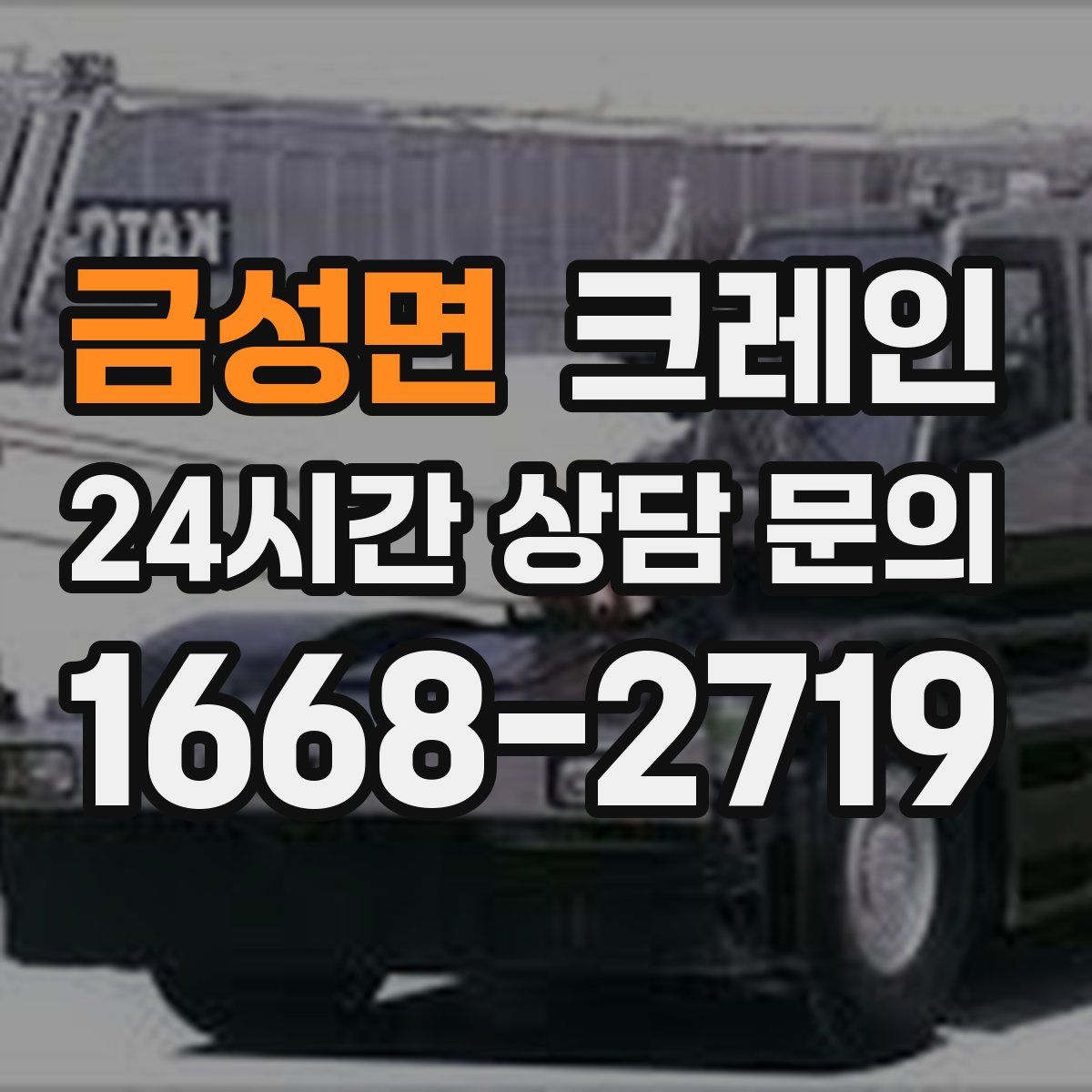 금성면 카고 크레인