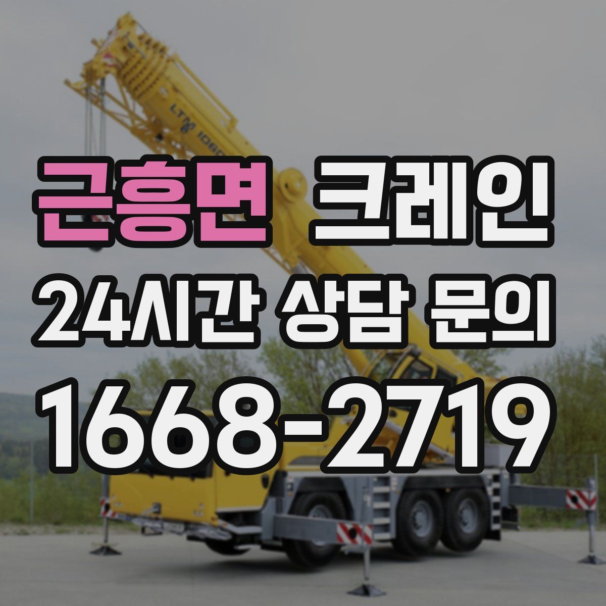 근흥면 카고 크레인