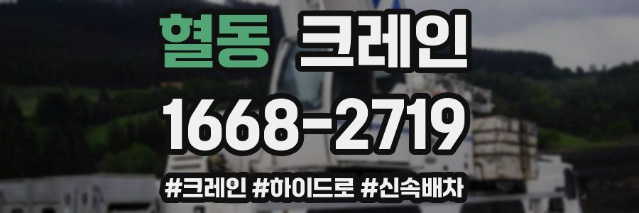 혈동 크레인 작업