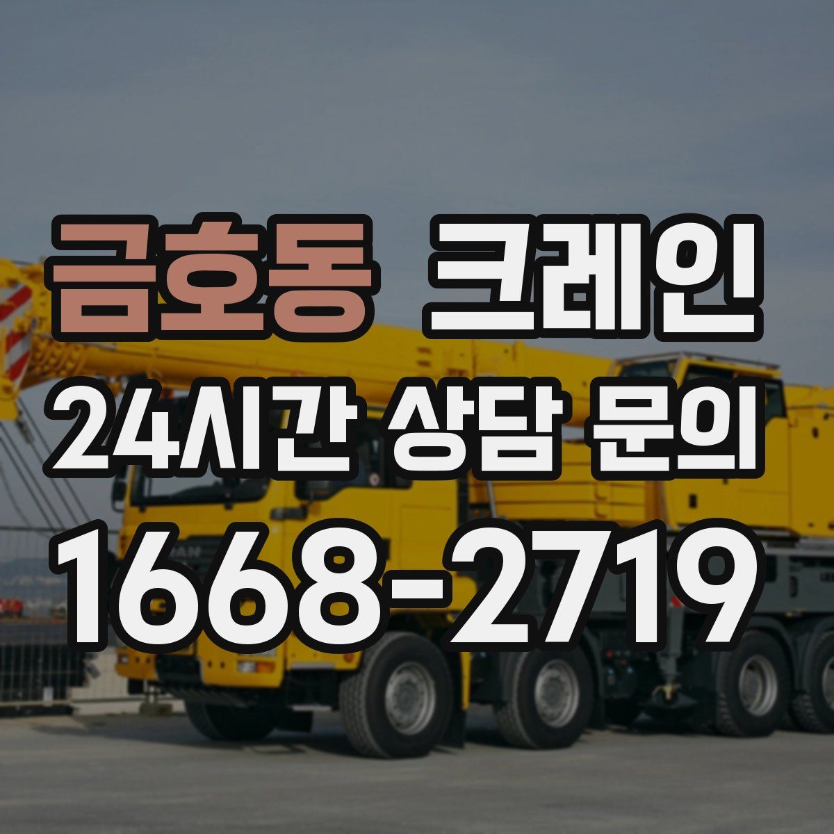 금호동 카고 크레인