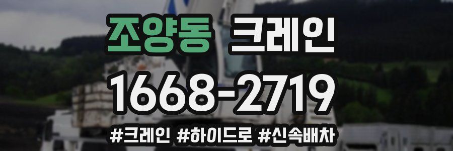 조양동 크레인 작업