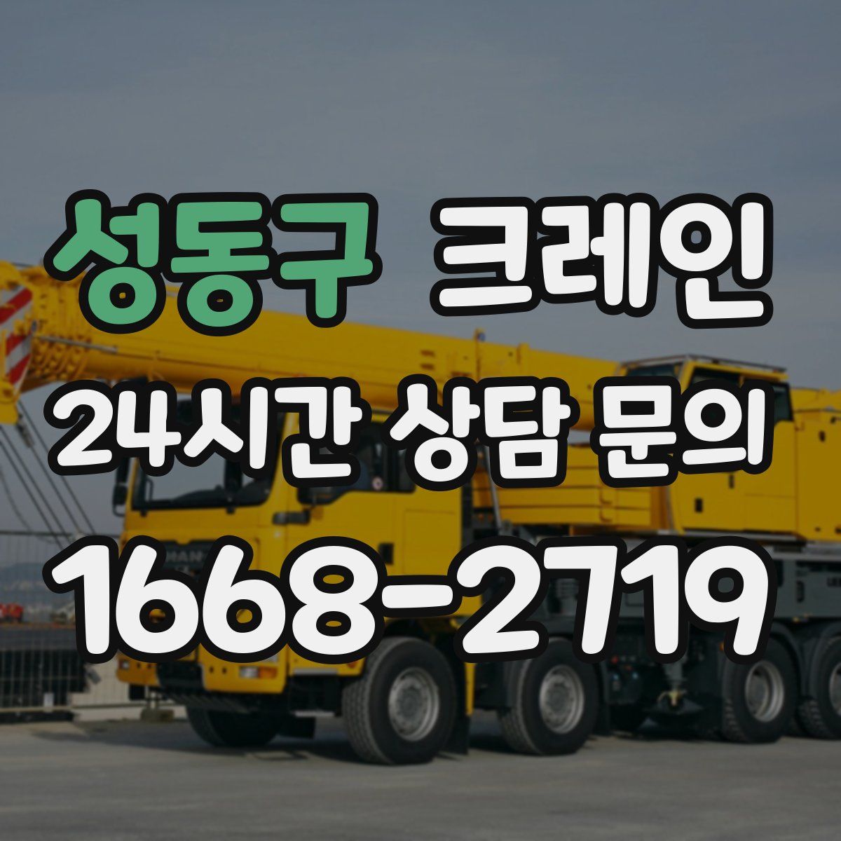 성동구 카고 크레인
