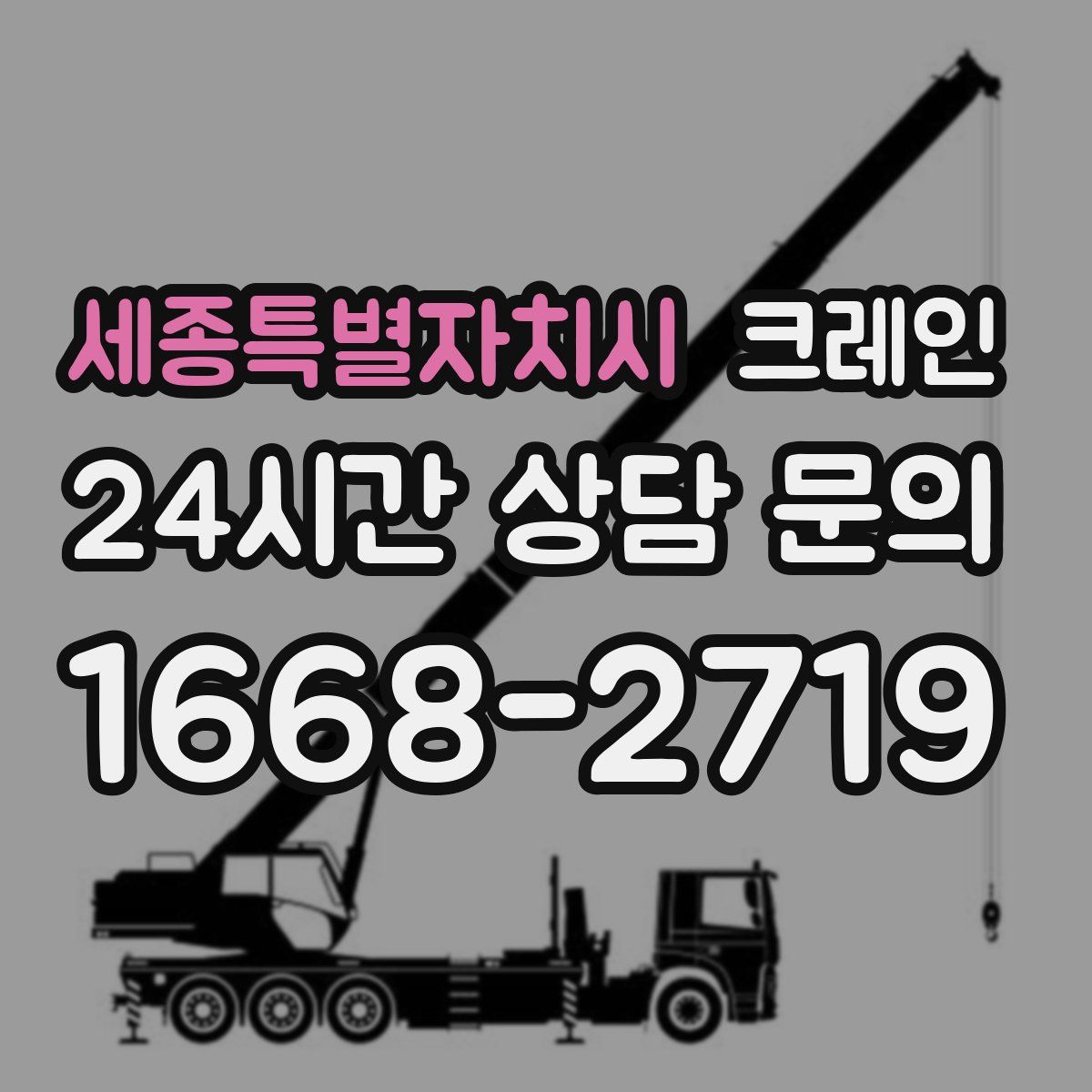 세종특별자치시 카고 크레인