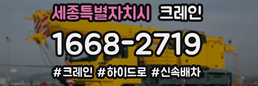 세종특별자치시 크레인 작업