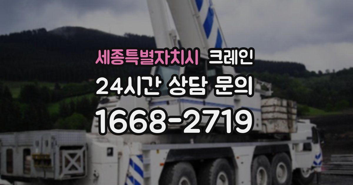 세종특별자치시 크레인