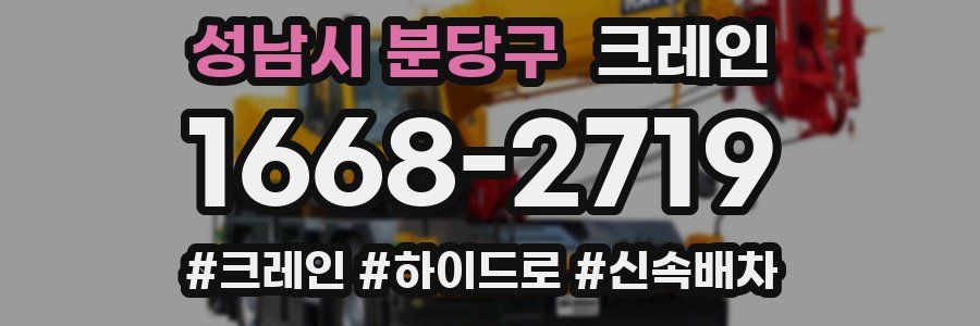 성남시 분당구 크레인 작업