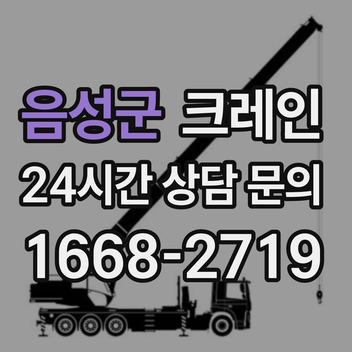 음성군 카고 크레인