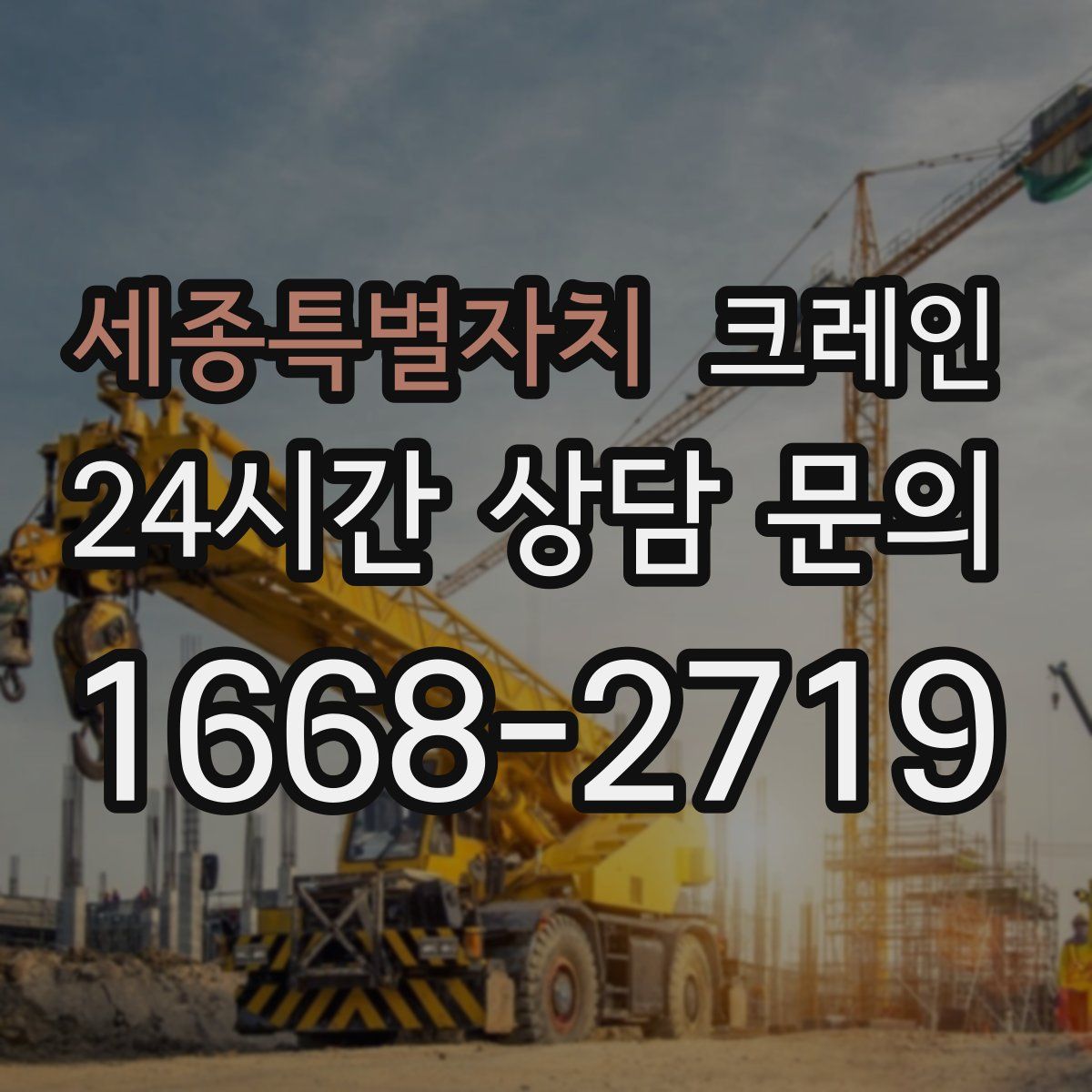 세종특별자치 카고 크레인