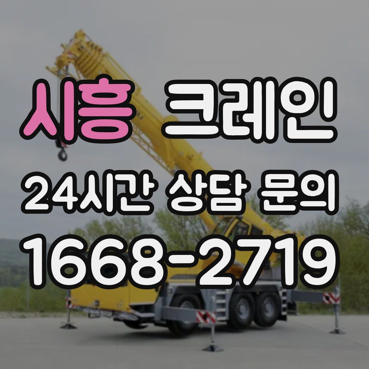 시흥 카고 크레인