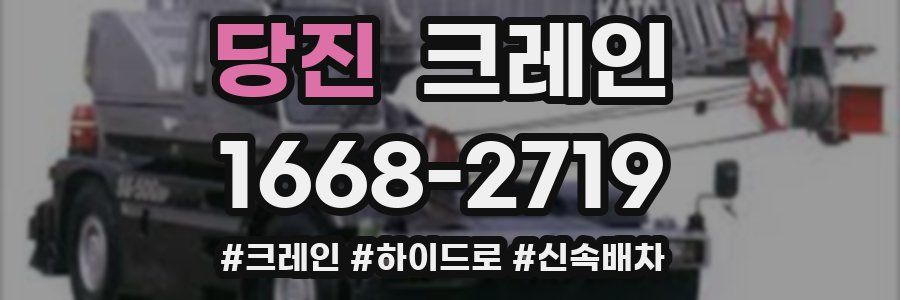 당진 크레인 작업