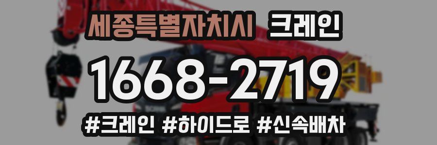 세종특별자치시 크레인 작업