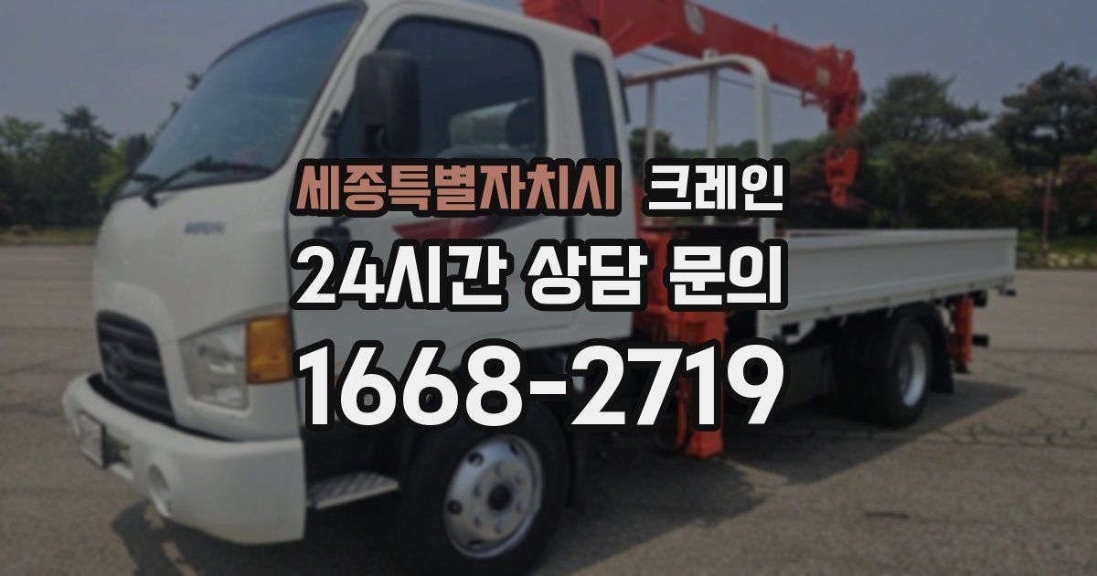 세종특별자치시 크레인