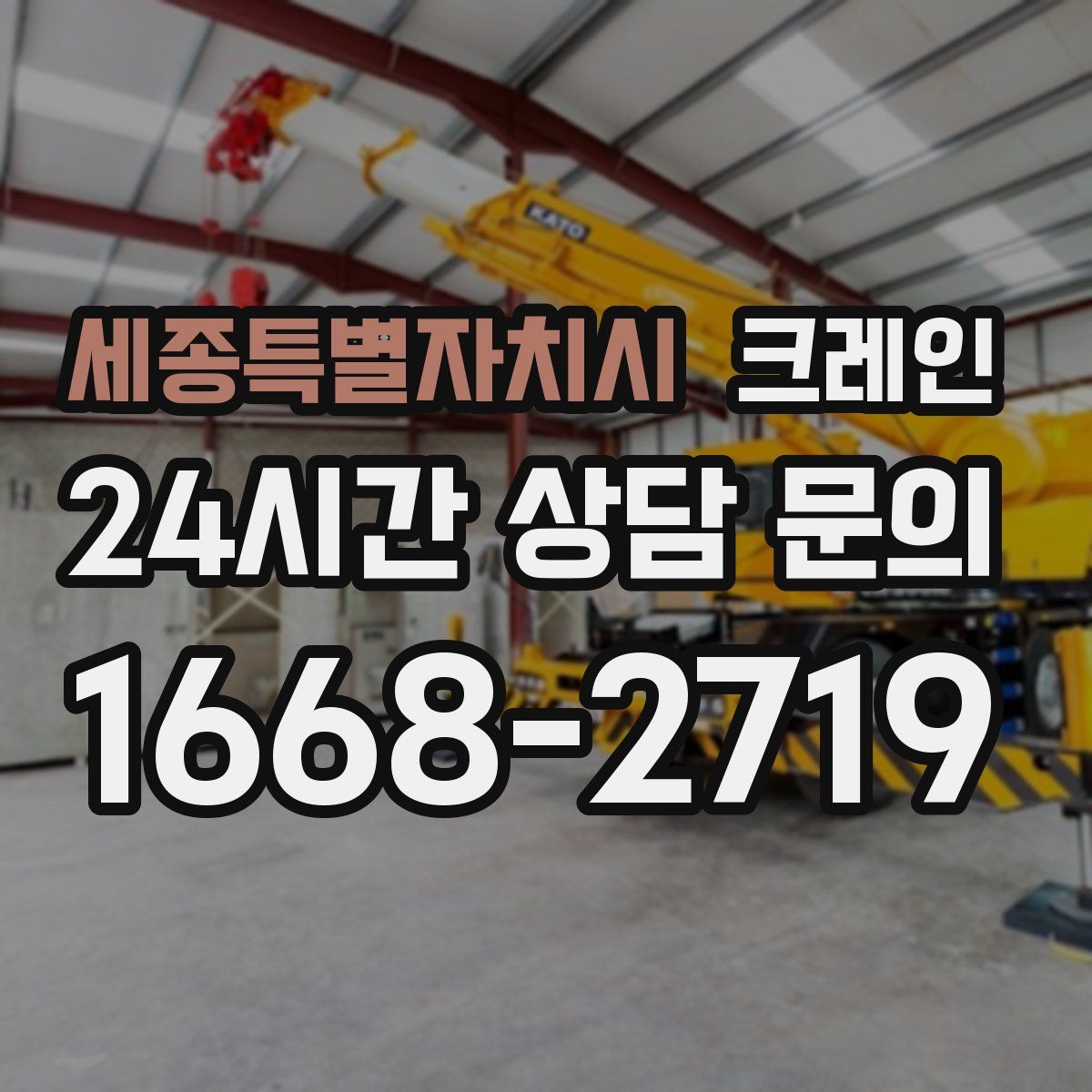 세종특별자치시 카고 크레인