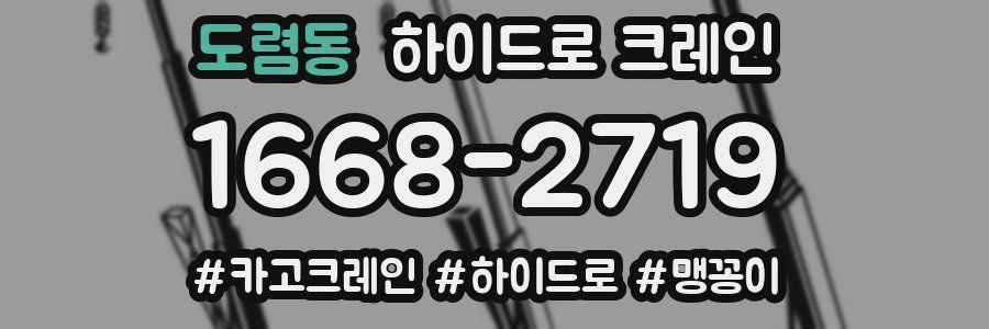 도렴동 하이드로 크레인