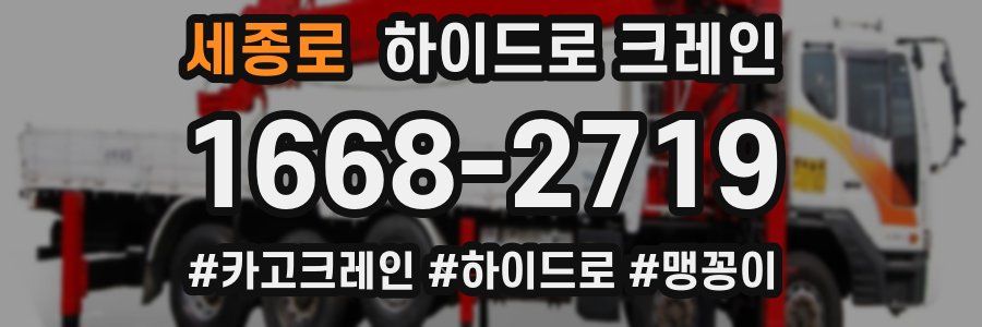 세종로 하이드로 크레인