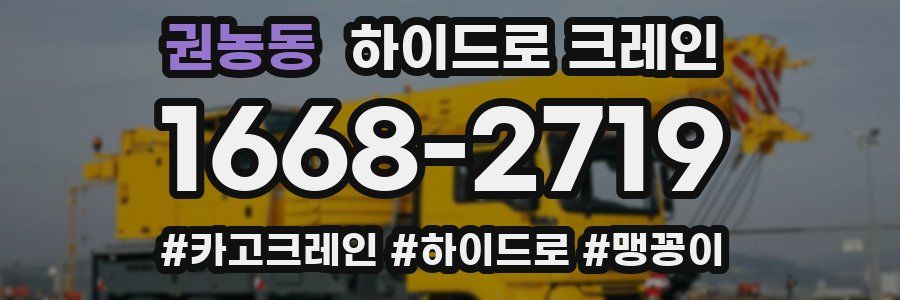 권농동 하이드로 크레인