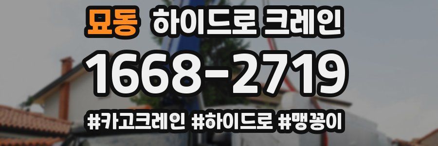 묘동 하이드로 크레인