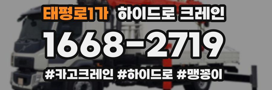 태평로1가 하이드로 크레인