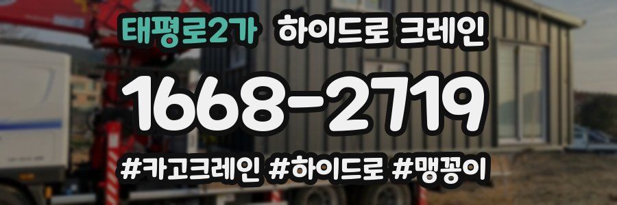 태평로2가 하이드로 크레인