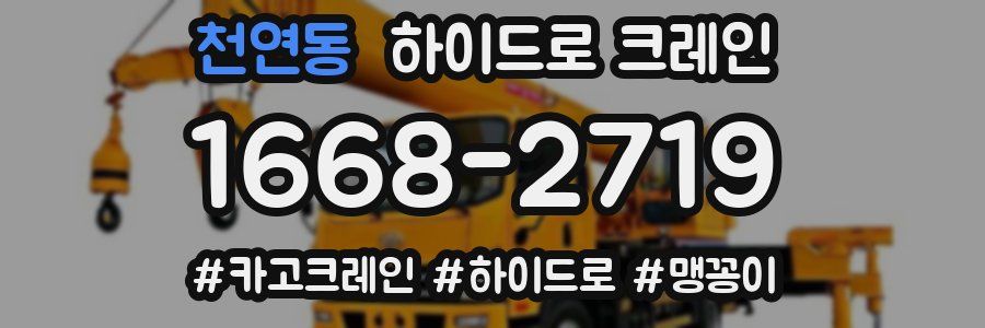 천연동 하이드로 크레인