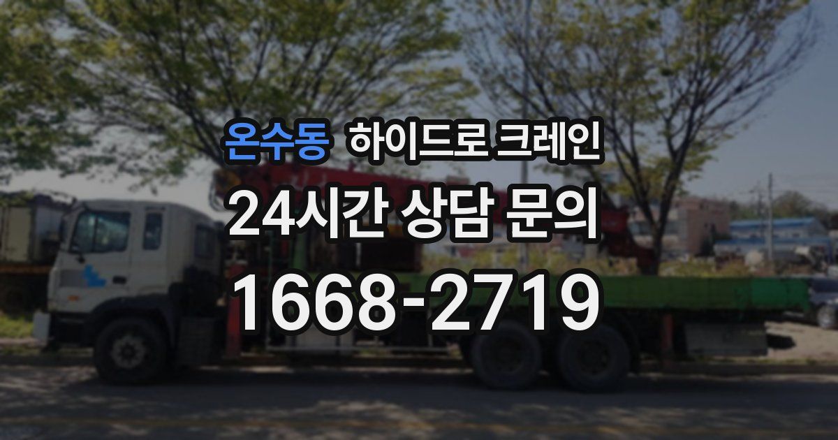 온수동 하이드로 크레인