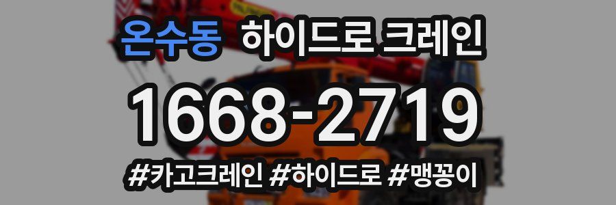온수동 하이드로 크레인