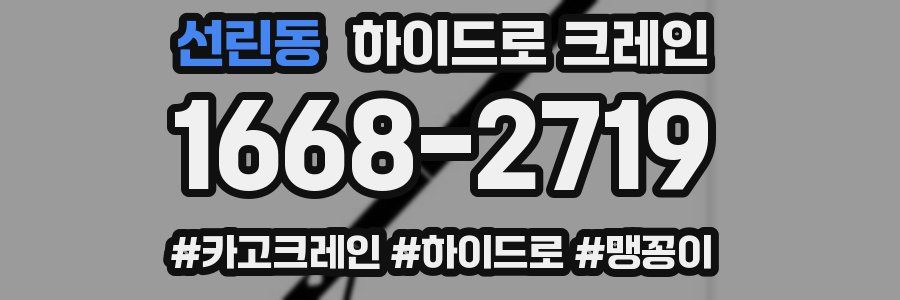 선린동 하이드로 크레인