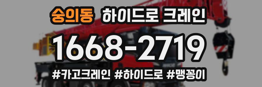 숭의동 하이드로 크레인