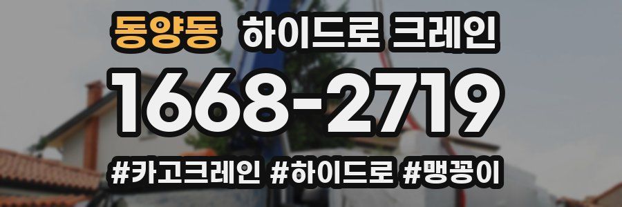 동양동 하이드로 크레인