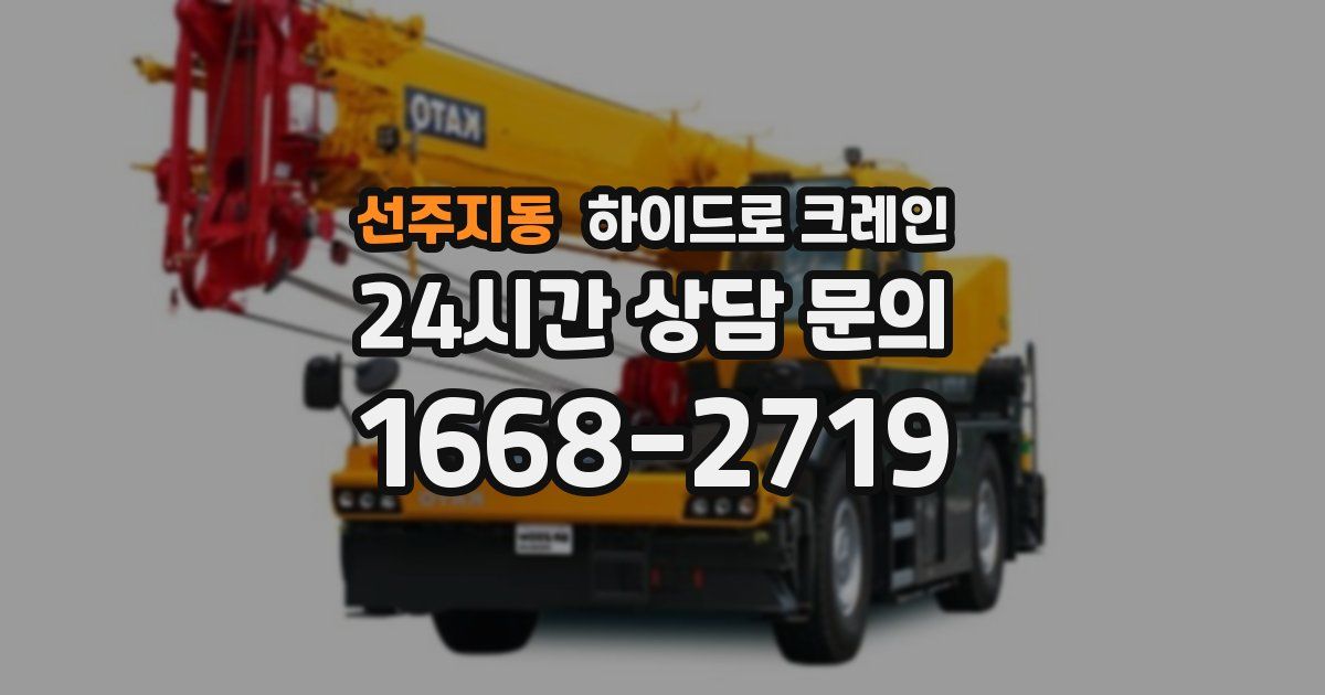 선주지동 하이드로 크레인