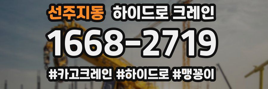 선주지동 하이드로 크레인