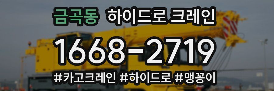 금곡동 하이드로 크레인