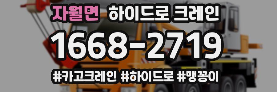 자월면 하이드로 크레인