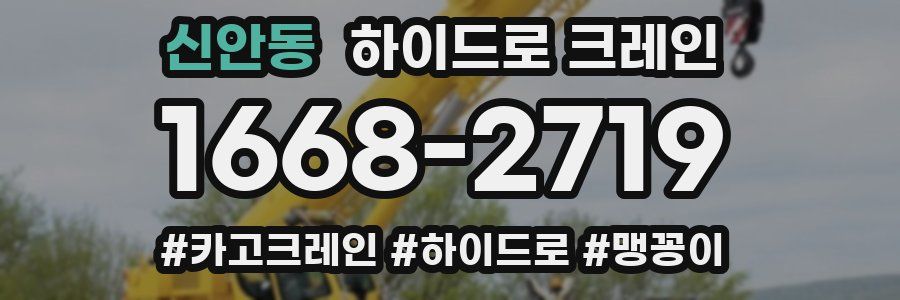 신안동 하이드로 크레인