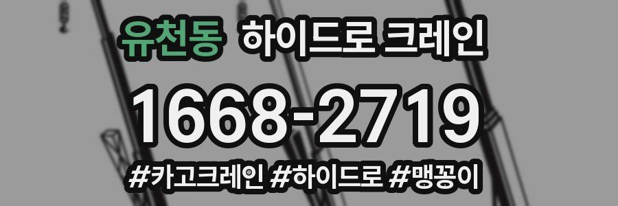 유천동 하이드로 크레인