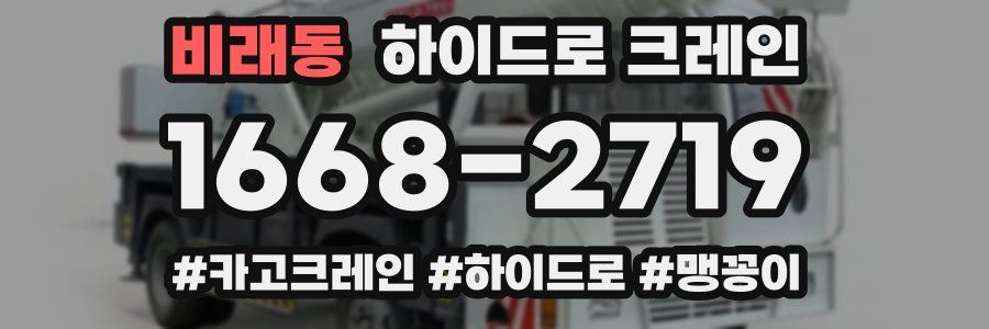 비래동 하이드로 크레인