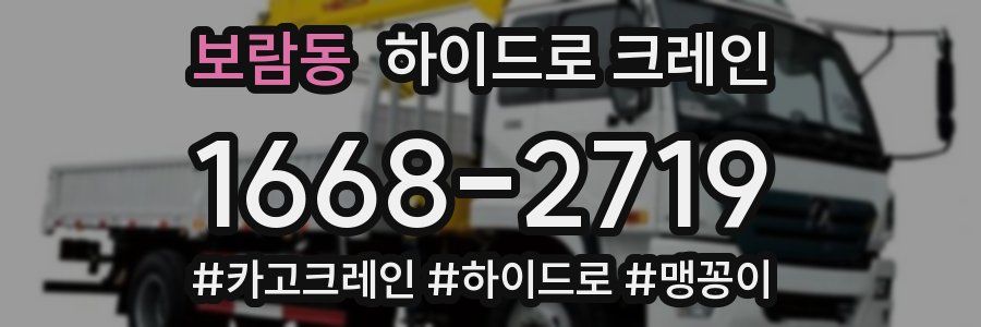 보람동 하이드로 크레인