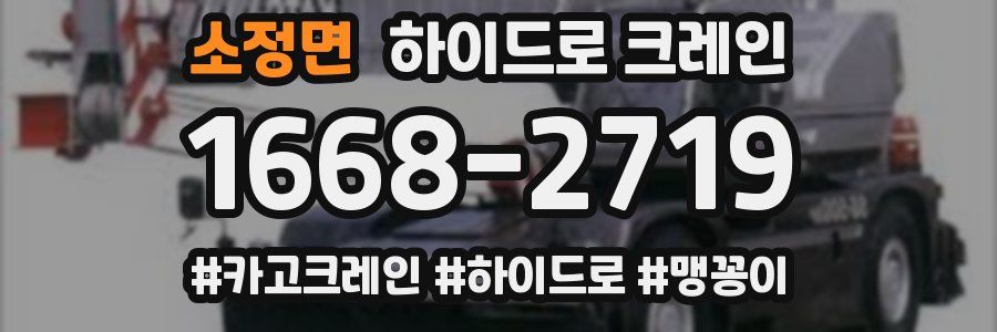 소정면 하이드로 크레인