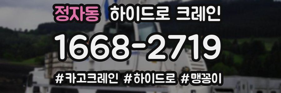정자동 하이드로 크레인
