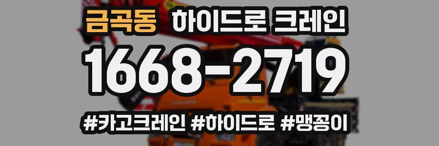 금곡동 하이드로 크레인