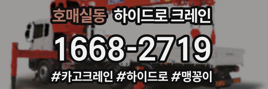 호매실동 하이드로 크레인